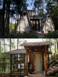 森林裡的泡泡屋和小木屋。