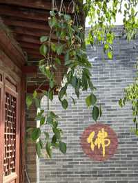 國保打卡：常平倉（國六），南安寺塔（國五），釋迦寺（國五）。