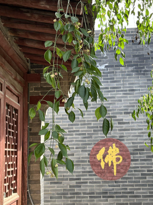 國保打卡：常平倉（國六），南安寺塔（國五），釋迦寺（國五）。