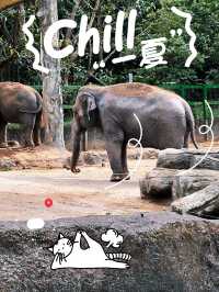 台北動物園