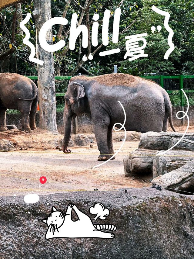 台北動物園