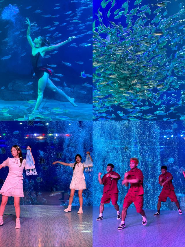 重慶遛娃 | 國慶玩樂季：然寶兒心心念念的海洋公園我們來啦。