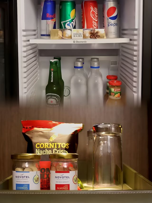 降落新德里，諾富特酒店讓我秒變「印度通」印度舞跳起來。