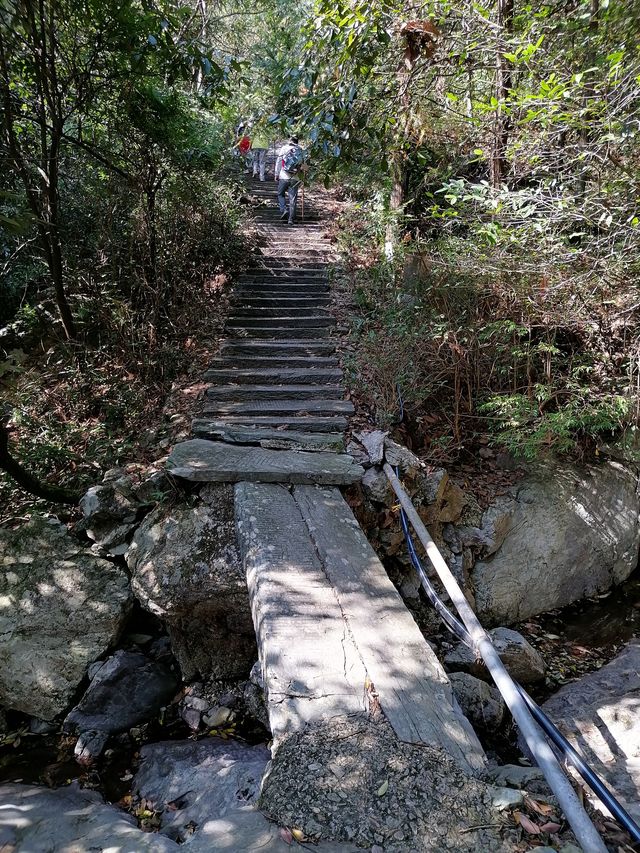 徒步榉根嶺古道丨千年古道丨國慶節避擁遊玩的好地方。