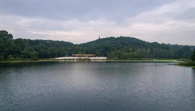德陽新寵！東湖山公園煥新顏，等您來打卡。