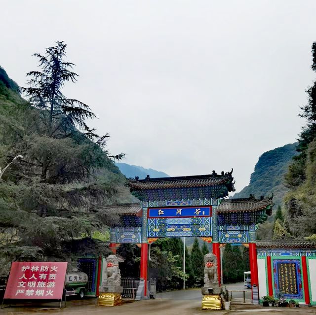 紅河谷森林公園   紅河峽谷久名重，水發山巔布瀑長。