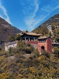 全國唯一木骨泥胎角神青蓮寺。