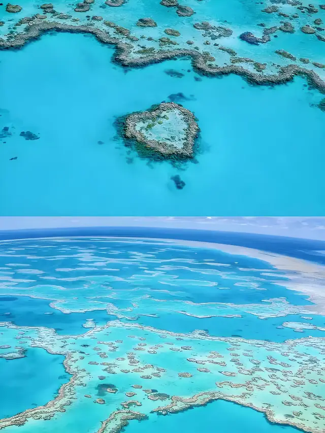 The Great Barrier Reef: A Coral Kingdom Under the Sea