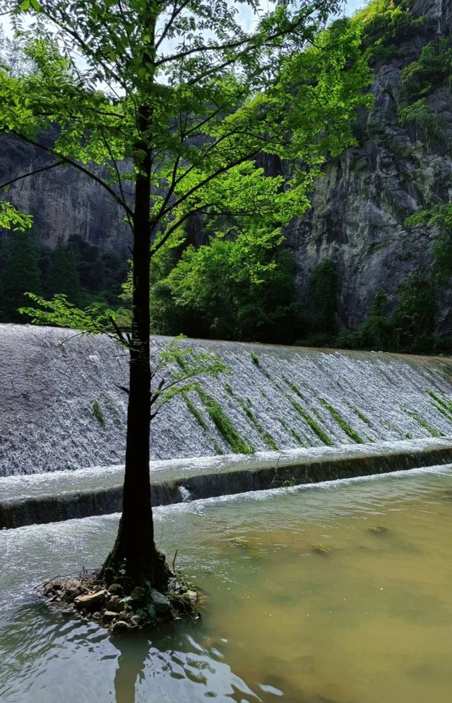 隴南  到山水中去。