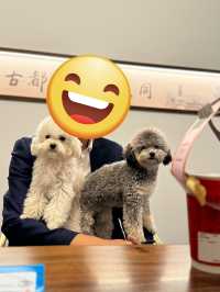 大同｜果斷放棄酒店，選擇鳳棲合院民宿。
