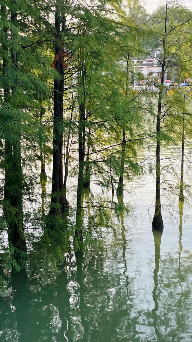 南寧獅山公園｜城市中的綠洲。