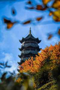 巴山大峡谷，你敢挑戰70公里的彩林之旅嗎？。
