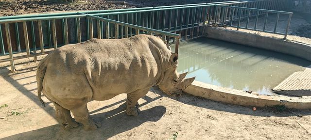 大東北的動物樂園：哈爾濱北方森林公園。