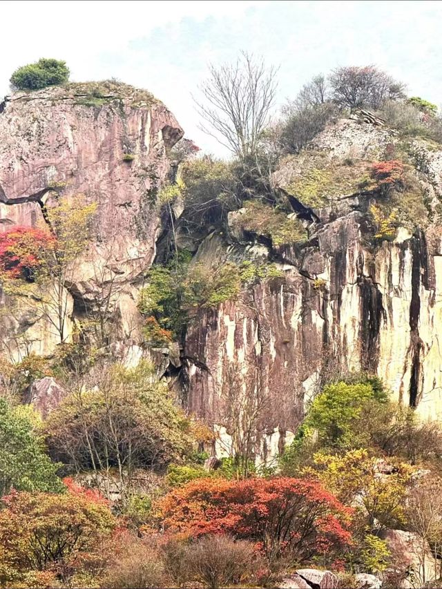 翠華山之遊：邂逅奇景的旅程。