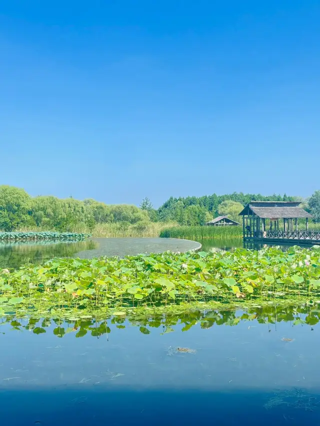 2일 타이저우 여행으로 여러분의 여행 기대를 뛰어넘어보세요.