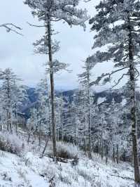 西安秦嶺東梁|雪後的東梁，如她的名字一樣別緻。