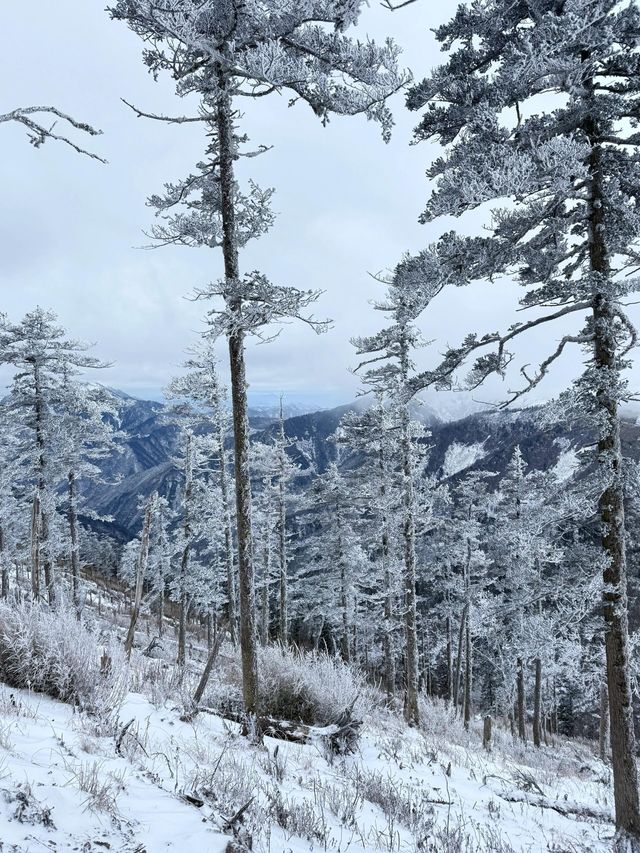 西安秦嶺東梁|雪後的東梁，如她的名字一樣別緻。