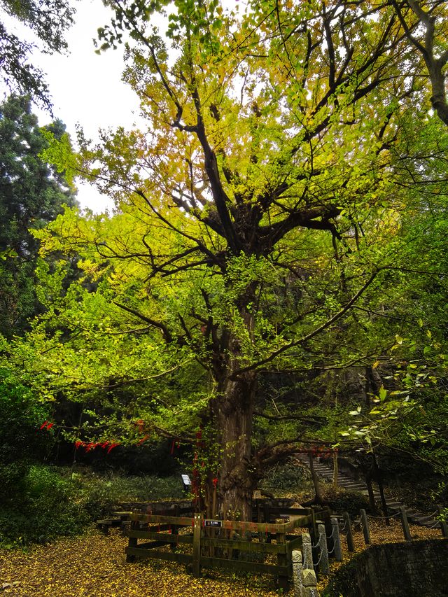 石山頂上的寺院，安順天台山伍龍寺。