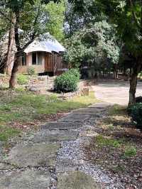 逃離城市計劃 || 長興 Anadu 橄欖莊園。