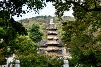 南京棲霞山紅楓觀賞攻略。