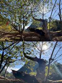 清遠秦漢古道體驗