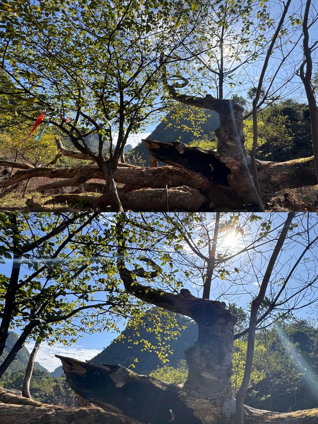 清遠秦漢古道體驗