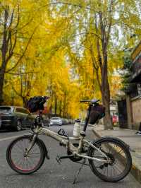 陰天無濾鏡直出，Cityride 從錦繡街到錦江邊