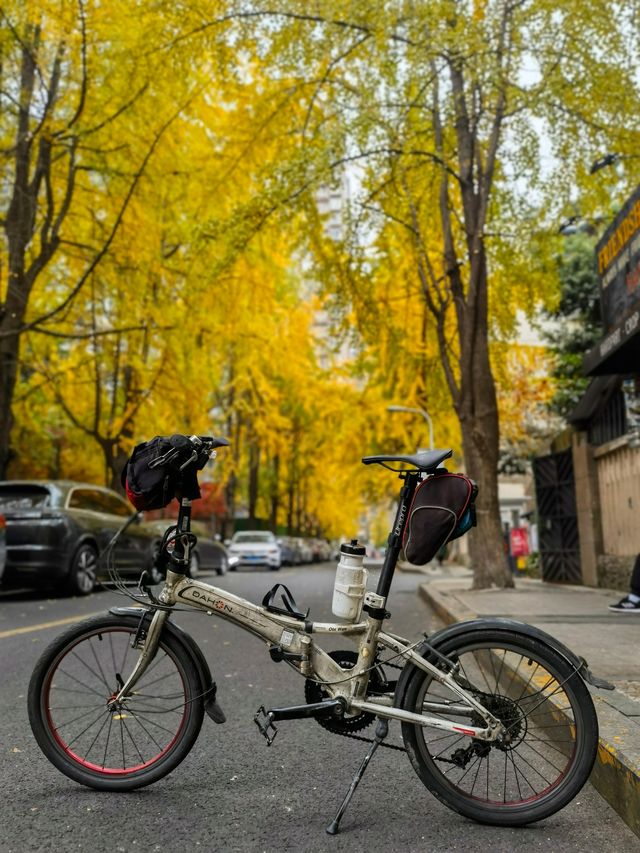 陰天無濾鏡直出，Cityride 從錦繡街到錦江邊