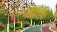 伊水遊園遊玩攻略