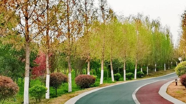 伊水遊園遊玩攻略