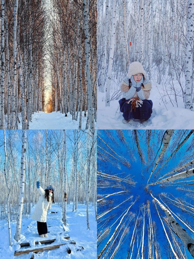 漠河4天|坐着雪國列車去追極光太絕了。 漠河4天|坐着雪國列車去追極光太絕了。