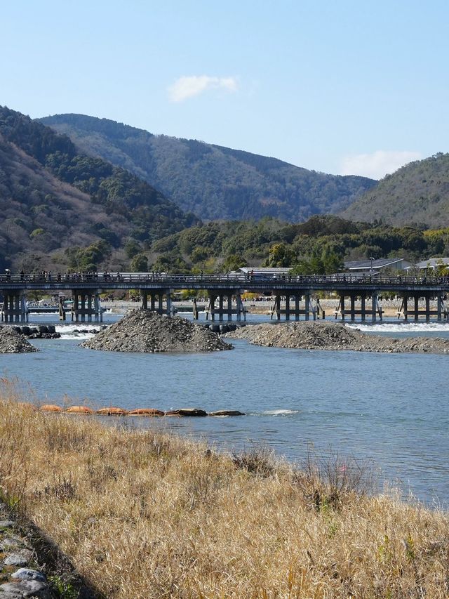 日本8日遊冬季限定美景一網打盡