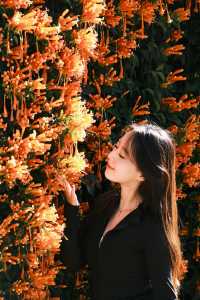 紅牆青瓦，小「色達」迤沙拉村太美了！