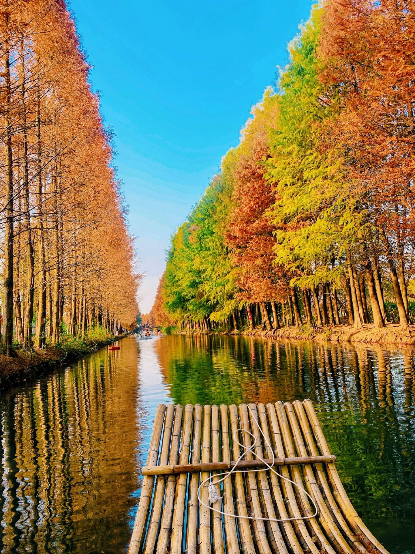 Citywalk | Romantic Year-end Walks, Metro Takes You Through Garden Secrets