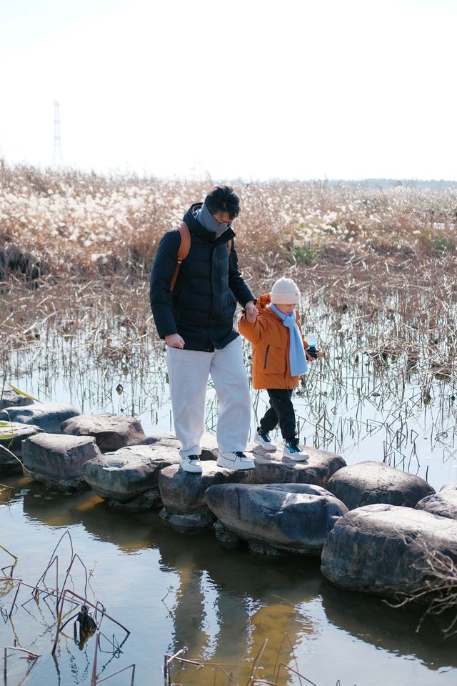 2小時輕鬆遊玩杭州灣濕地公園