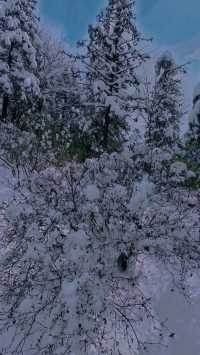 你是否想在安吉天池滑雪體驗不一樣的滑雪之旅?