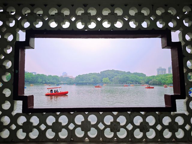 兒時常去的公園,現在帶娃去玩也很不錯! 兒時常去的公園,現在帶娃去玩也很不錯!