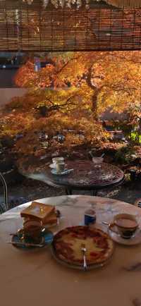 【最美紅葉季】兜兜轉轉嵯峨野，看罷山林看古寺…