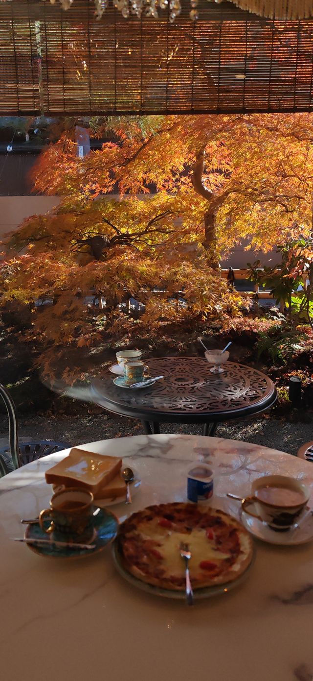 【最美紅葉季】兜兜轉轉嵯峨野，看罷山林看古寺…