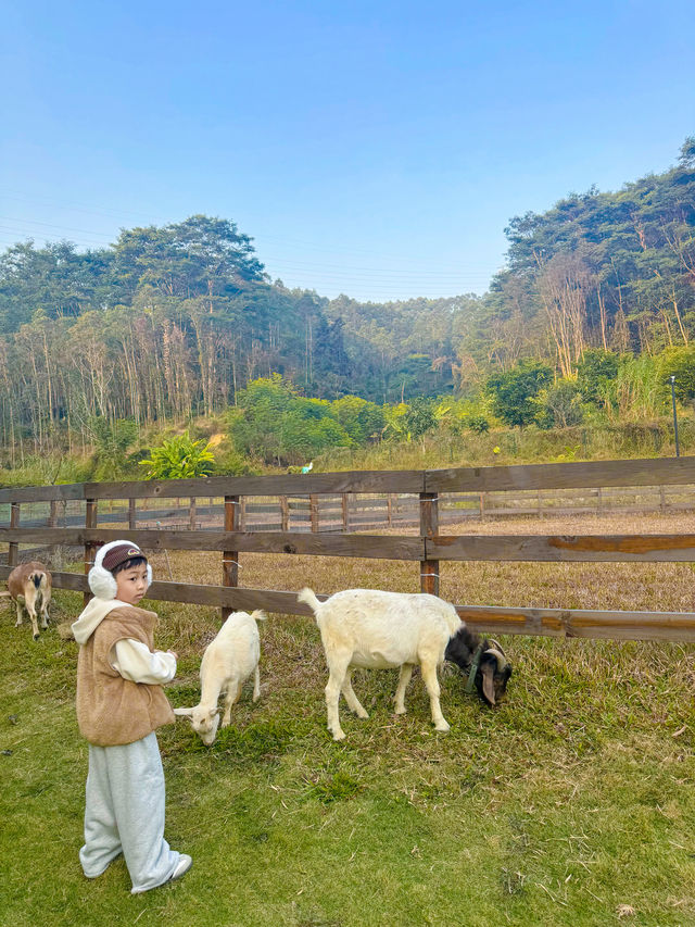 新開嘅深圳出發1h｜帶娃住進山谷裏