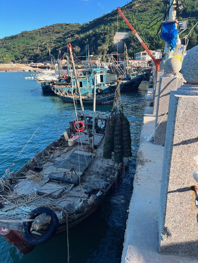 青島5日遊超全攻略 玩轉不踩雷