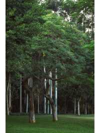 薛嶺山公園·這座被低估的小眾公園，愛慘了