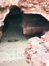 涠洲島:中國最美十大海島之一