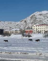 雪國奇遇記：冬日可可托海