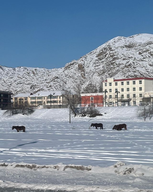 雪國奇遇記：冬日可可托海