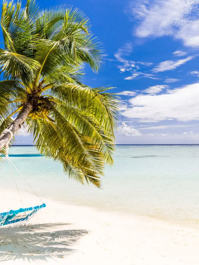 Travel to the Philippines for the New Year: Everything you want is here!