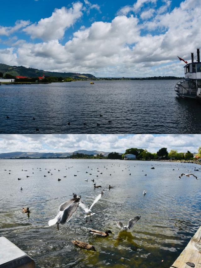 邂逅塔朗哥：新西蘭北島的浪漫小鎮之旅