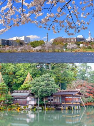 Mito Dream Trip: Unlock the Ancient Charm of Japan and Taste the Romance of the Ocean