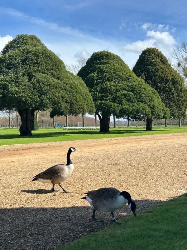 Discover the Enchanting Hampton Court Palace in London