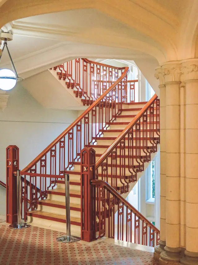 오클랜드｜국보급 대학교 방문하기